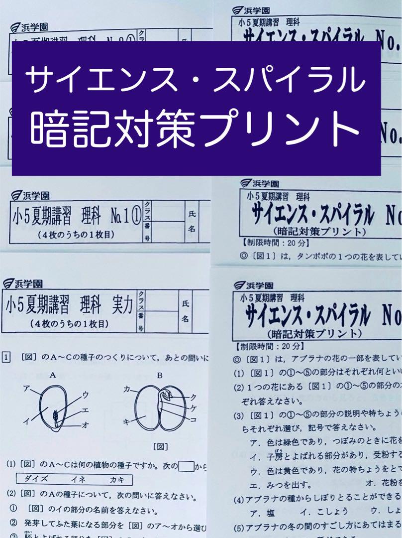 浜学園 小5 夏期講習 Sクラス 4教科 国語 算数 理科 社会 復習