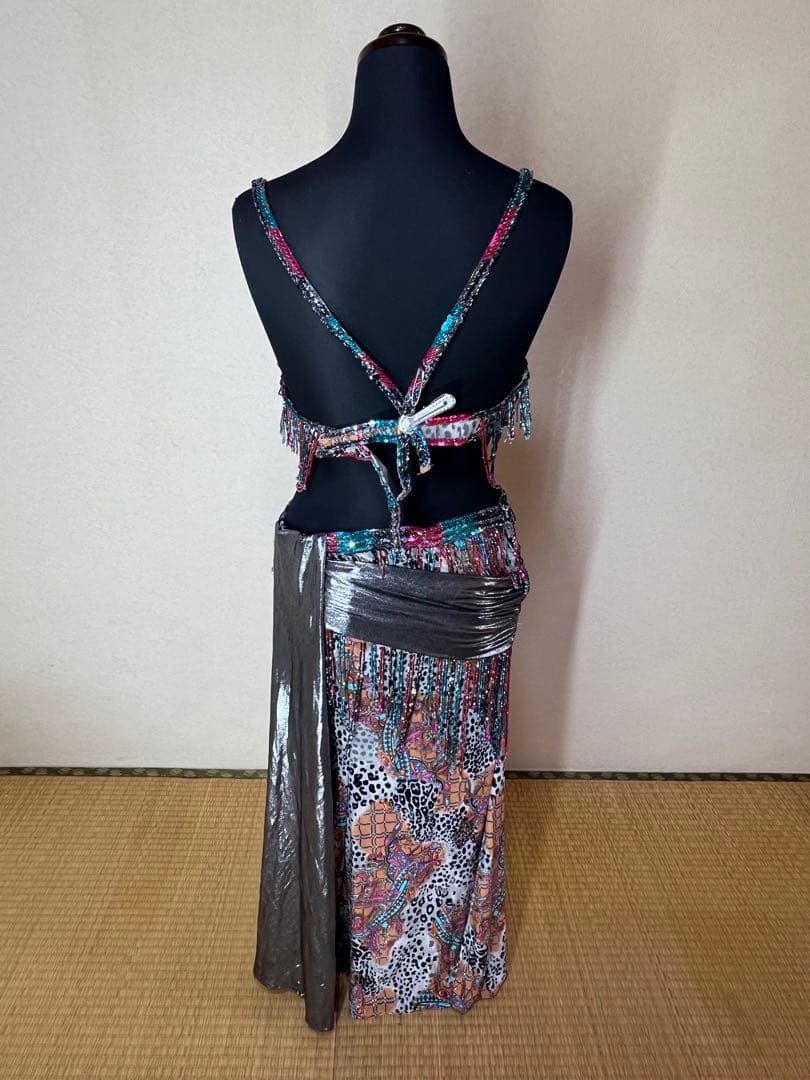 ベリーダンス セットアップ 多色 フリンジ付き ベリーダンス セットアップ 多色 フリンジ付き