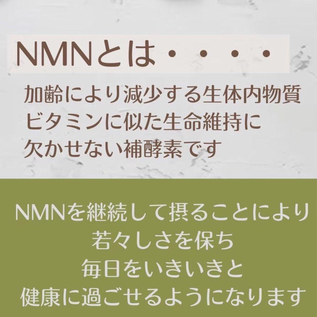 訳ありNMNサプリEVERBEAUTYNMNPLATINUM