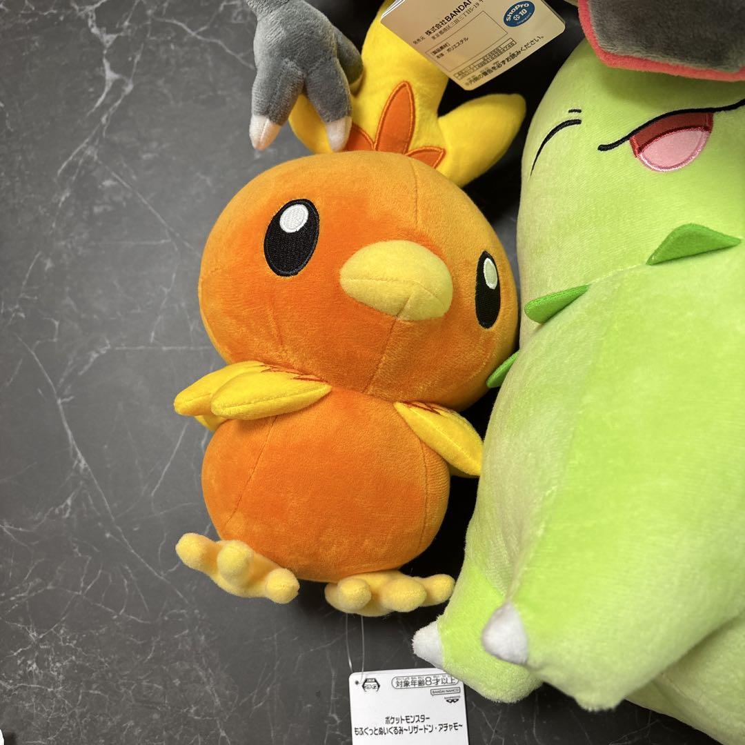 ポケモン ぬいぐるみセット　リザードン　レックウザ