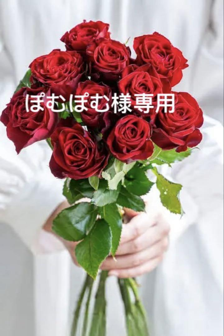 白一枚バッグ