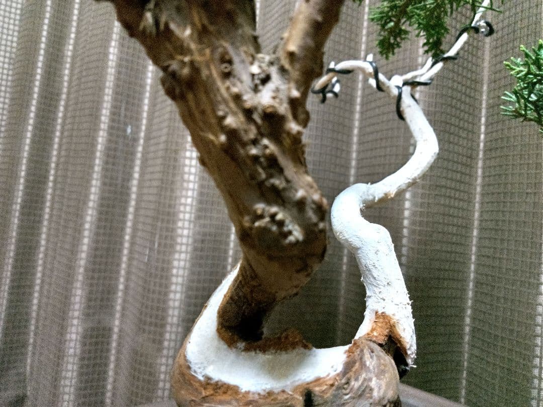 ⭕ご奉仕品❗目立った傷や汚れなし