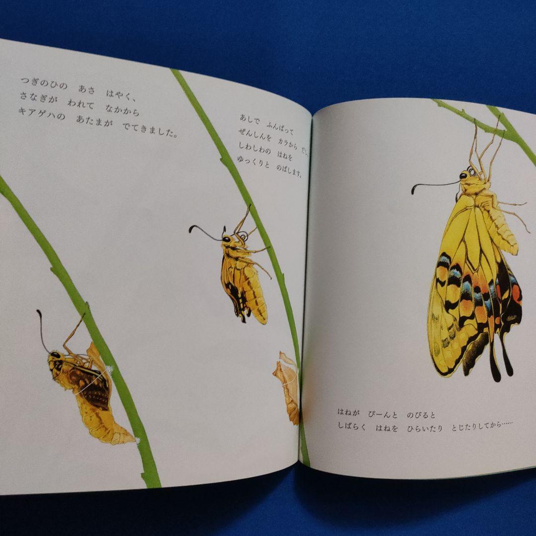 かがくのとも　雑木林の虫たち　ヤママユ　ナナフシ　チョウの幼虫　福音館 かがくのとも 雑木林の虫たち ヤママユ ナナフシ チョウの幼虫