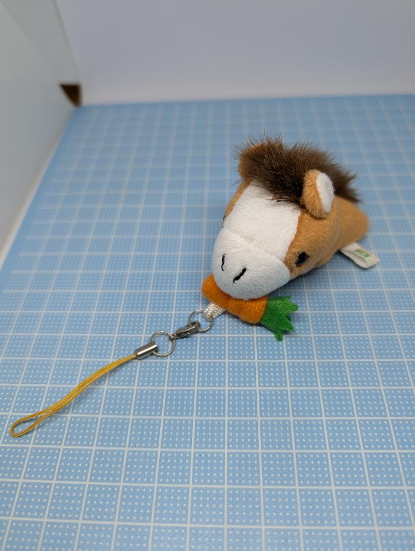 欅坂46（ストラップ） 2025年最新】欅坂46ネックストラップの人気アイテム - メルカリ