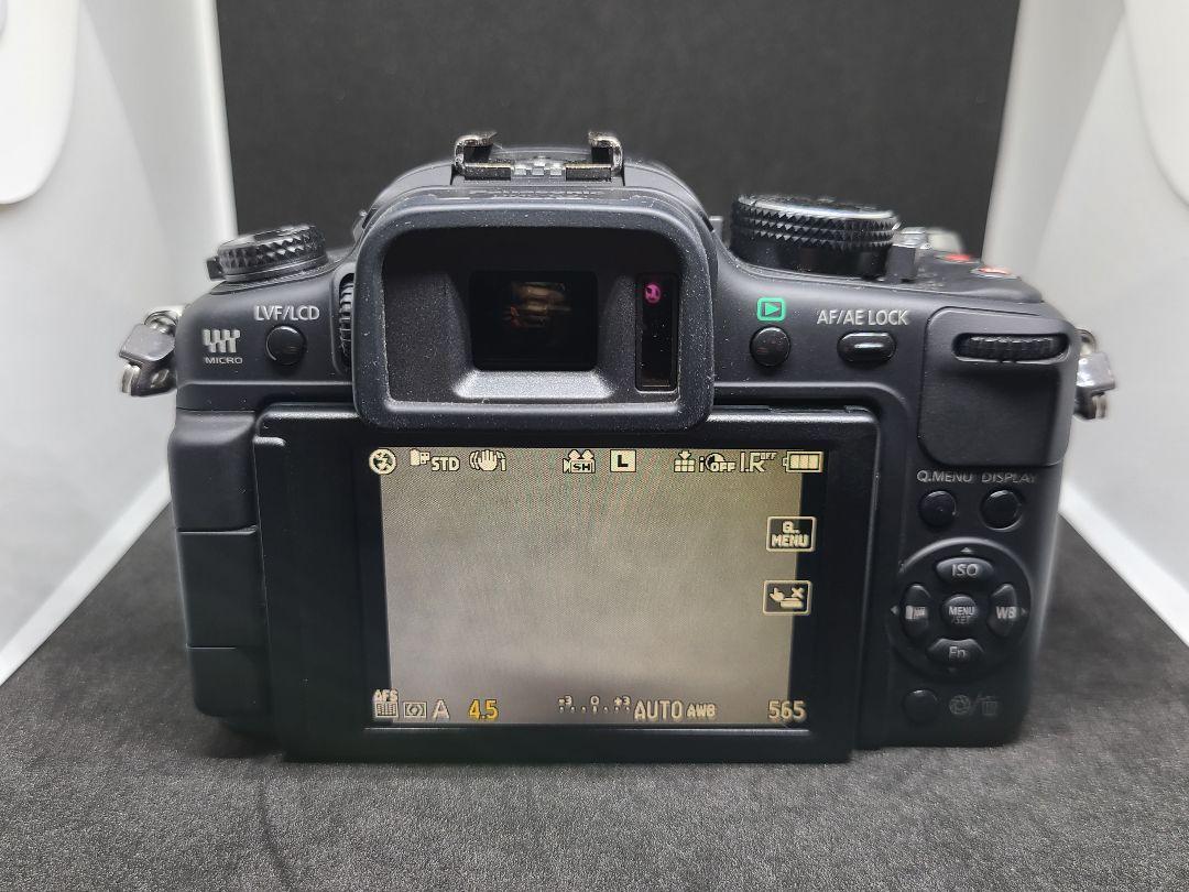 Panasonic LUMIX G2 DMC-G2 レンズキット