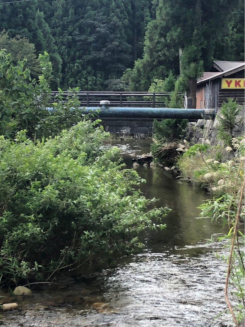 特別栽培米 新潟県産コシヒカリ新米30kg 玄米