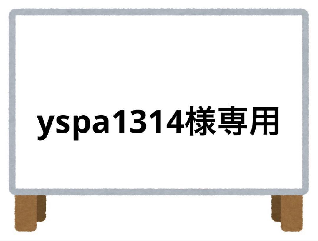 yspa1314様 リクエスト 2点 まとめ商品