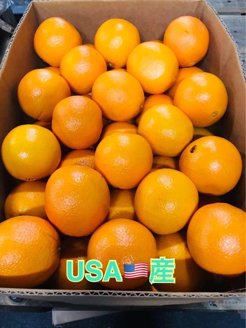 ネーブルオレンジ 5,790円