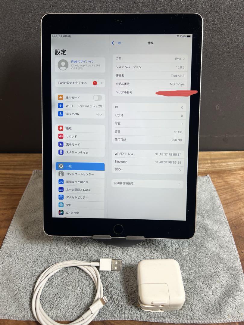 Apple iPad Air2/16GB/電池健康81.6%/HW213 Apple iPad Air2/16GB/電池健康81.6%/HW213