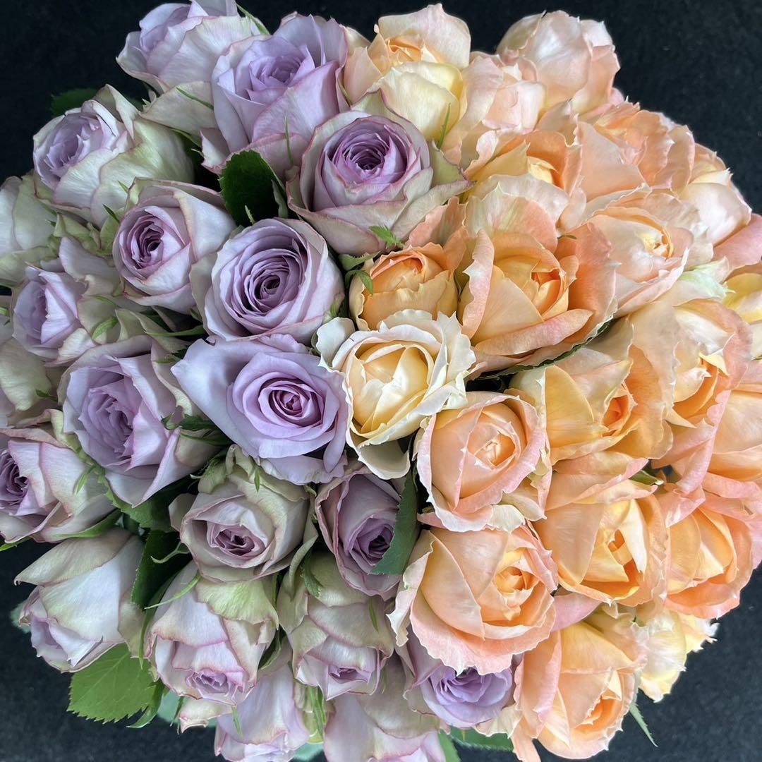 産地直送‼️バラ（切り花 ・生花）＊オレンジ＆パープルMIX＊30㎝SM　40本