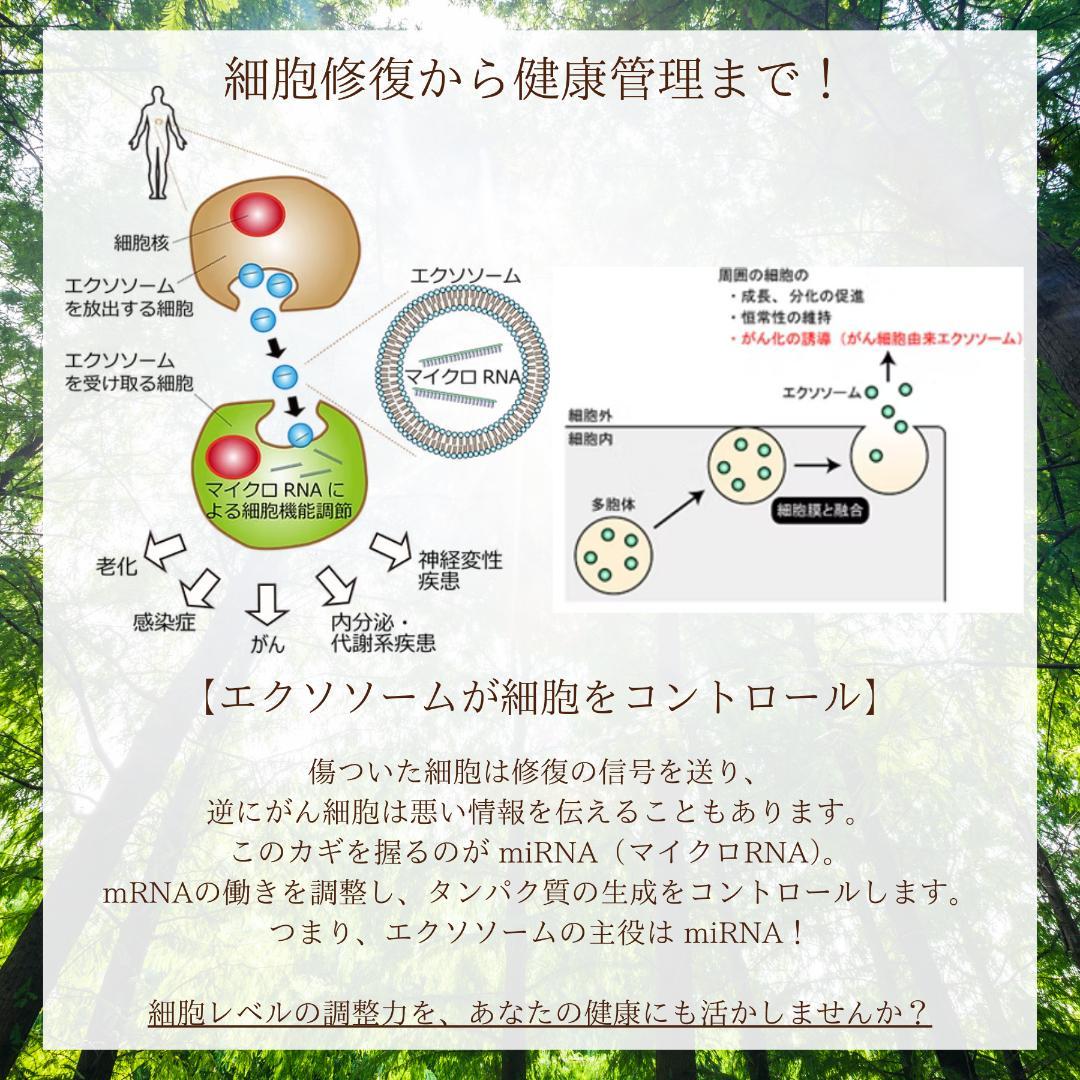 【痩せ菌10倍！スリムボディ実現】植物エクソソームで理想の体型を！