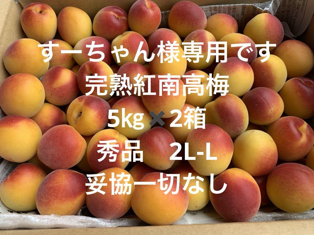 クール便対応です。 和歌山県紀南産　完熟紅南高梅5㎏ 秀品　2L-L✖️2箱