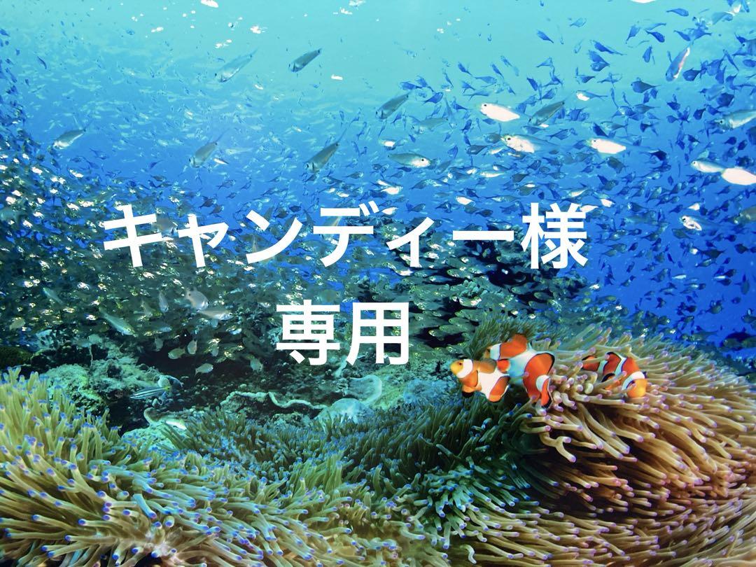 エンビロンデリケートセット