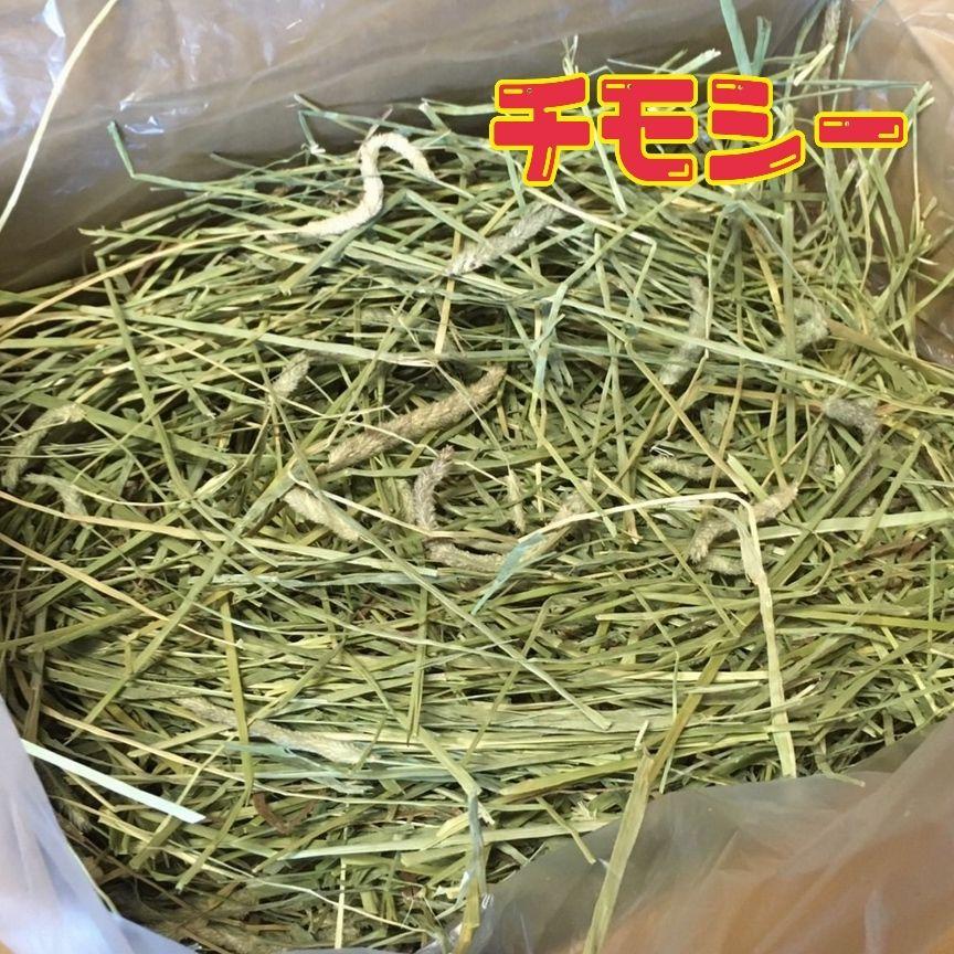 令和6年度産新刈り】牧草市場 スーパープレミアムチモシー1番