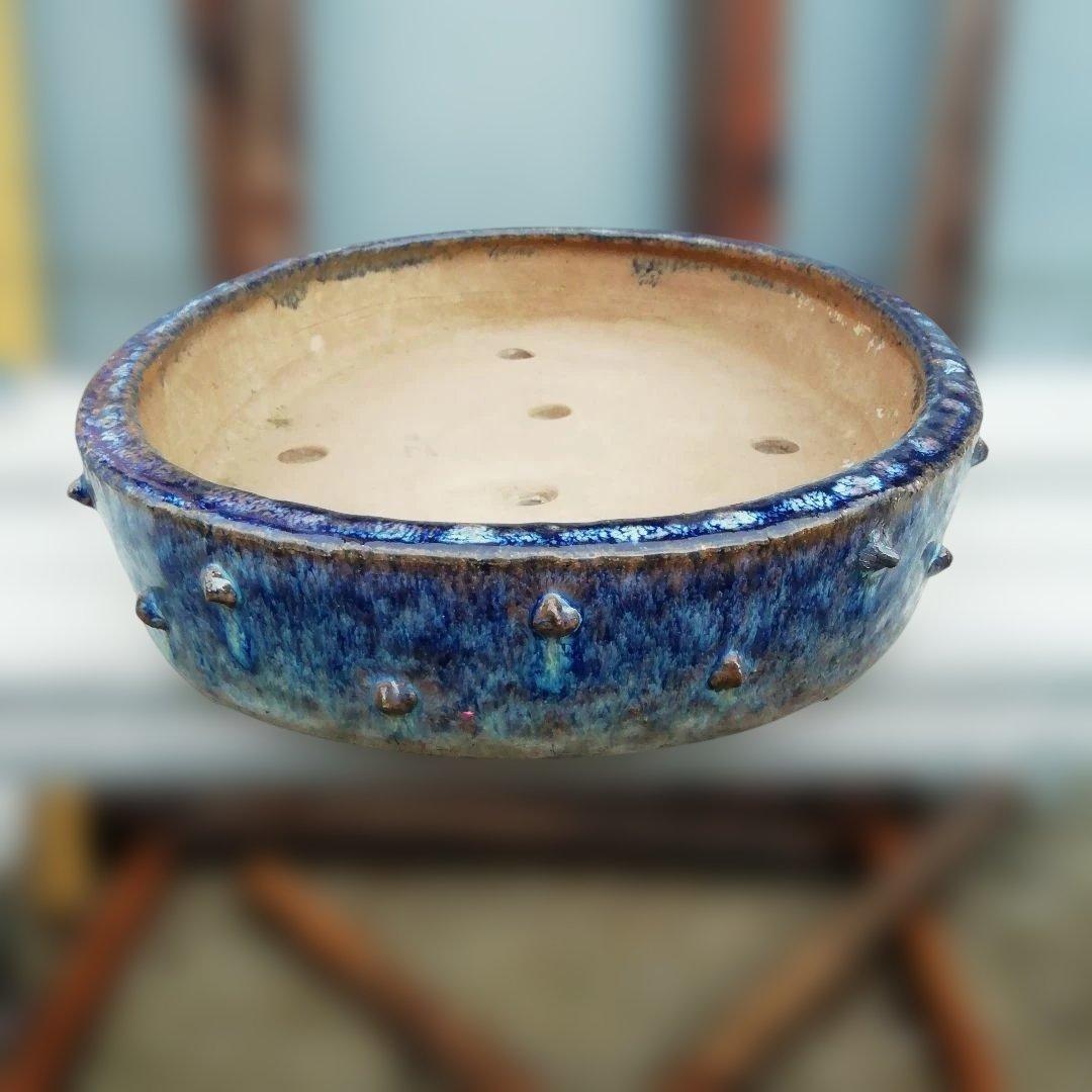 蘭鉢 盆栽やや傷や汚れあり