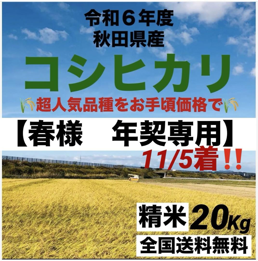 【春様　年契専用　11/5着‼️】令和６年度　新米コシヒカリ精米10kg×2