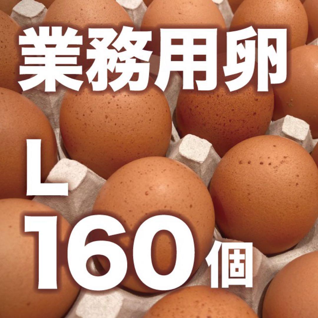 蔵王鶏園の業務用卵Lサイズ / 160個