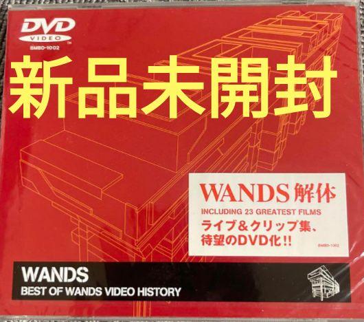 WANDS プロモーションビデオ 71CP2X91ikL._UF350,350_QL50_.jpg