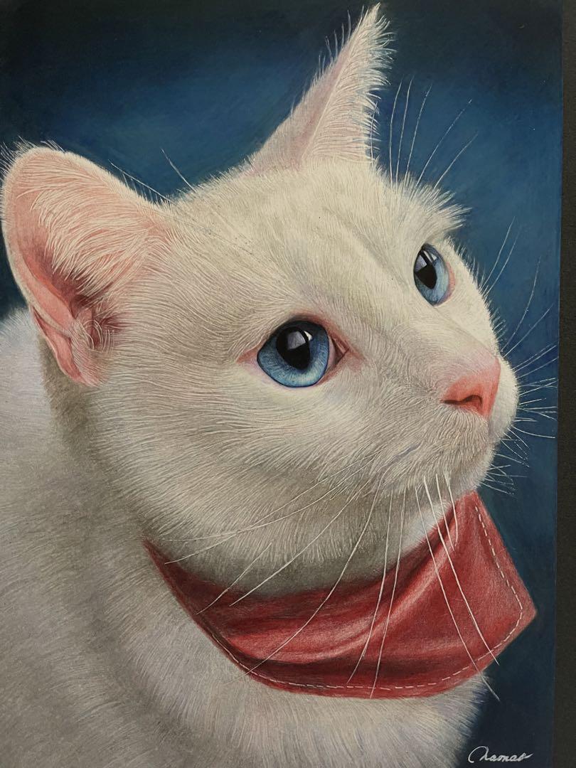 色鉛筆画A4白猫31