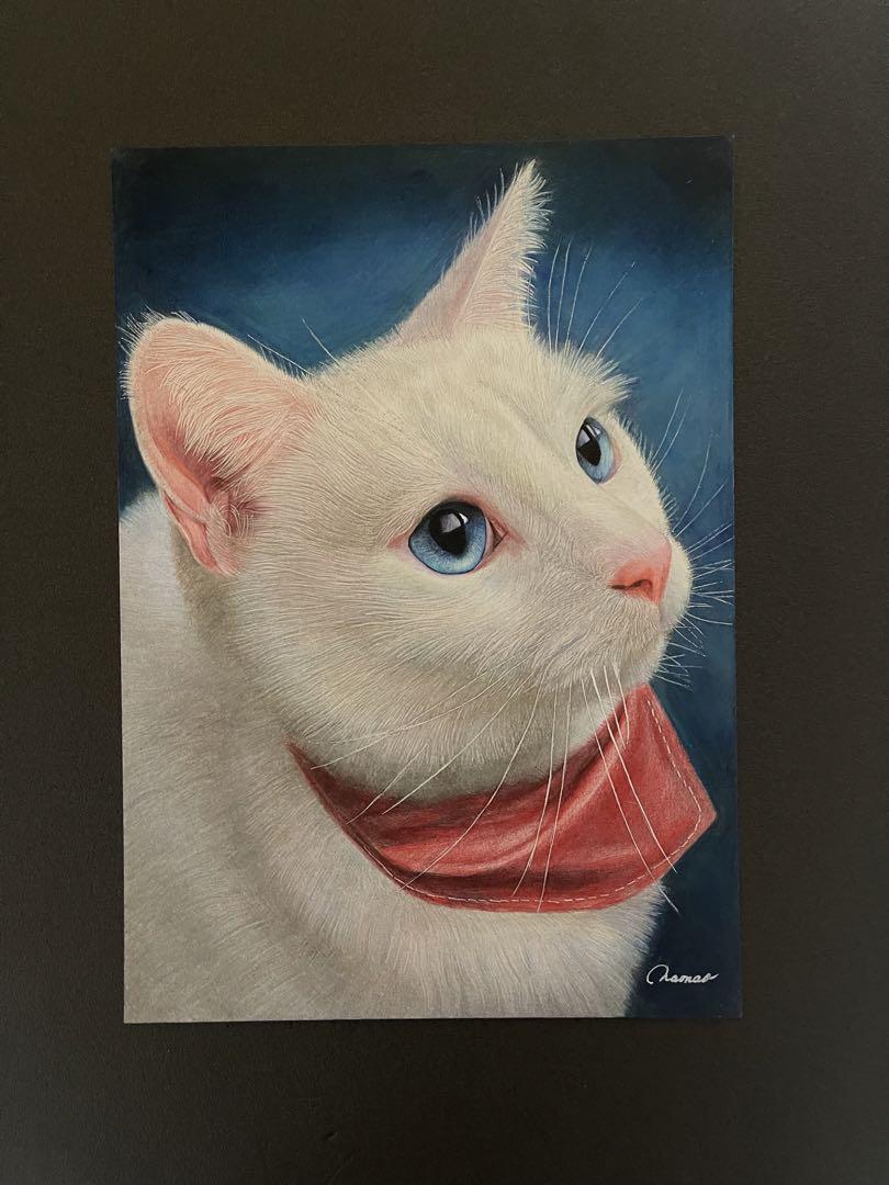 色鉛筆画A4白猫31