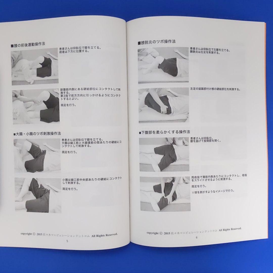 佐々木マニピュレーションセミナーDVD〈腹部施術・内臓調整編