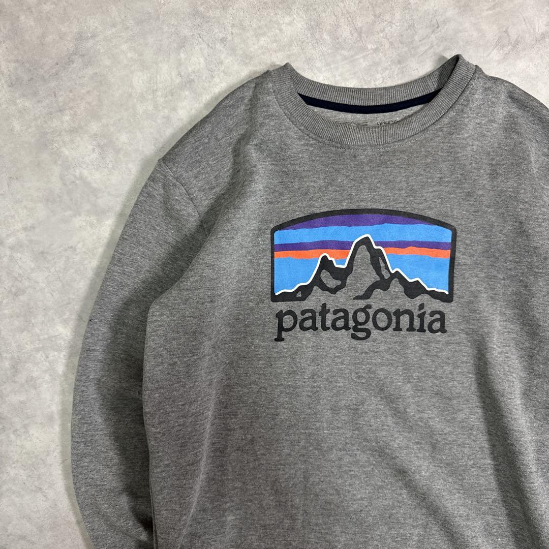 Patagonia パタゴニア スウェット トレーナー グレー S - メルカリ