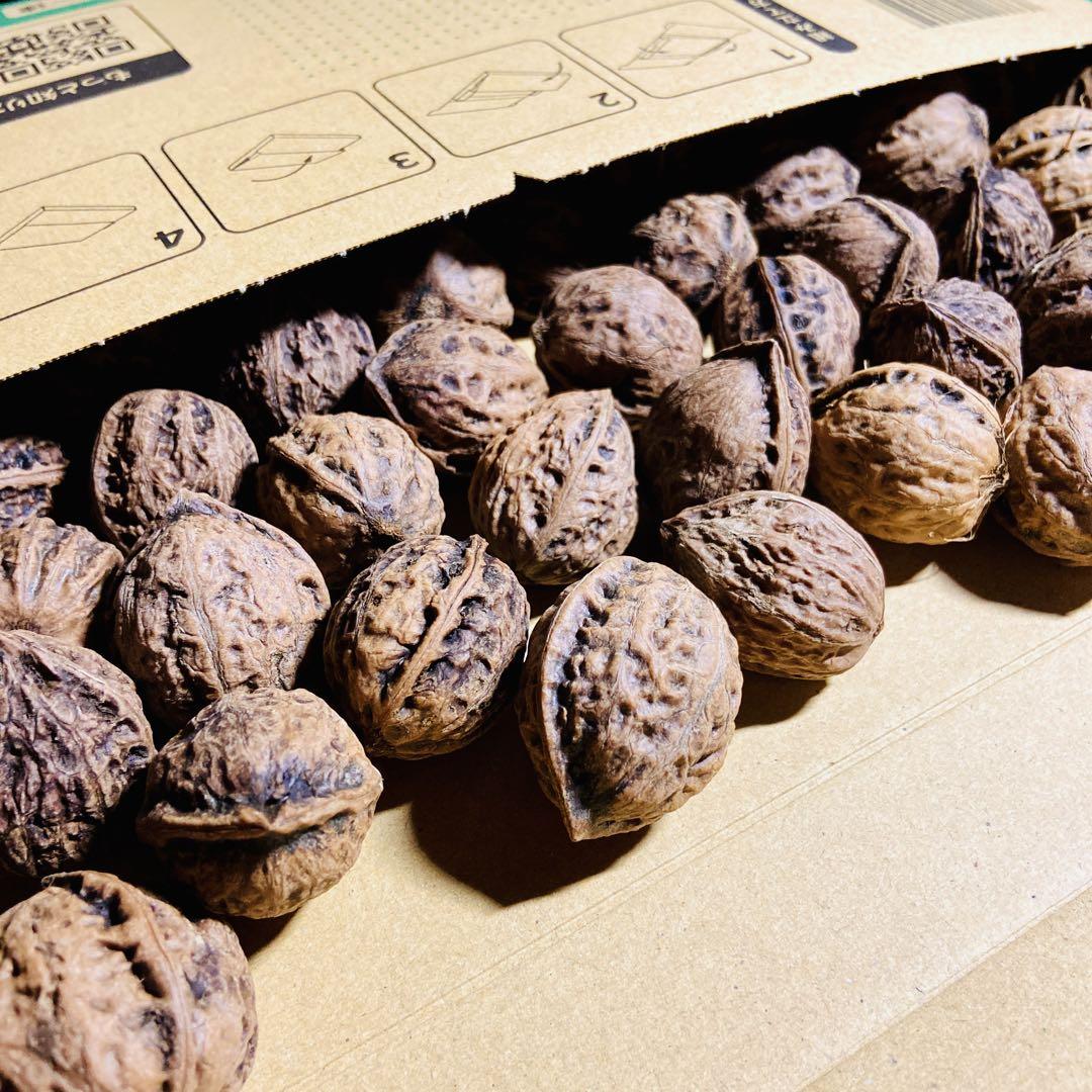 ✨『新物』天然鬼くるみ10kg！✨ 楽天市場】国産鬼クルミむきクルミの通販