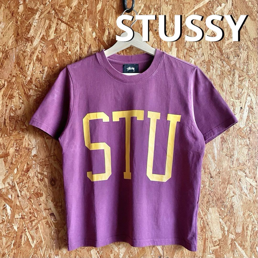 STUSSY ALLEN BIG SCALE クロップド丈 デカロゴ 短丈