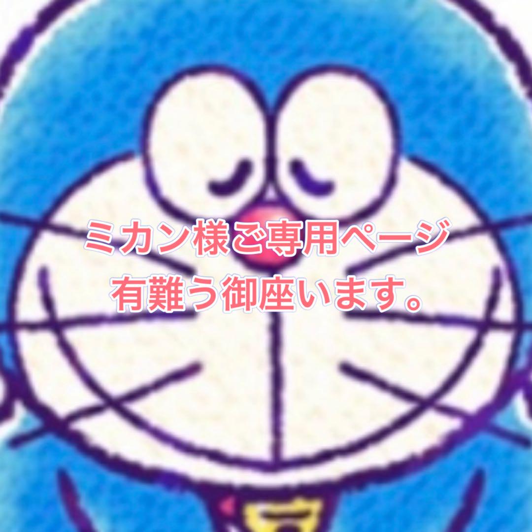 ミカン様2点お纏め有難う御座います ミカン様お纏め2点有難う御座います 専用ページです。