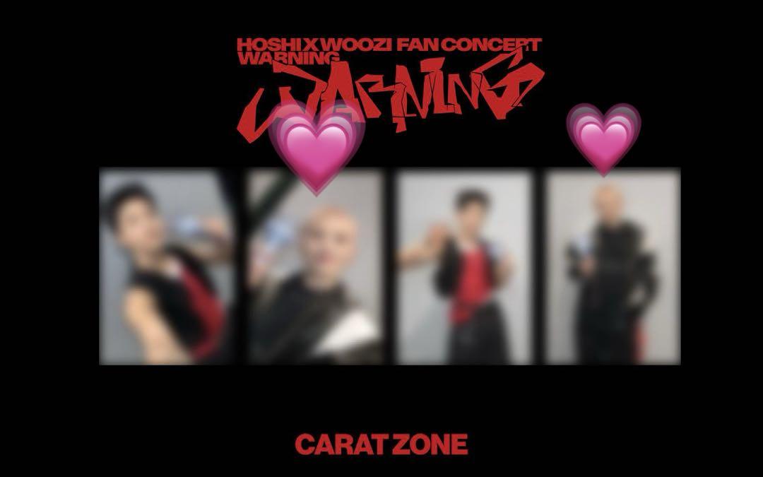 ホシ　ウジ　caratzone seventeen トレカ 6,999円