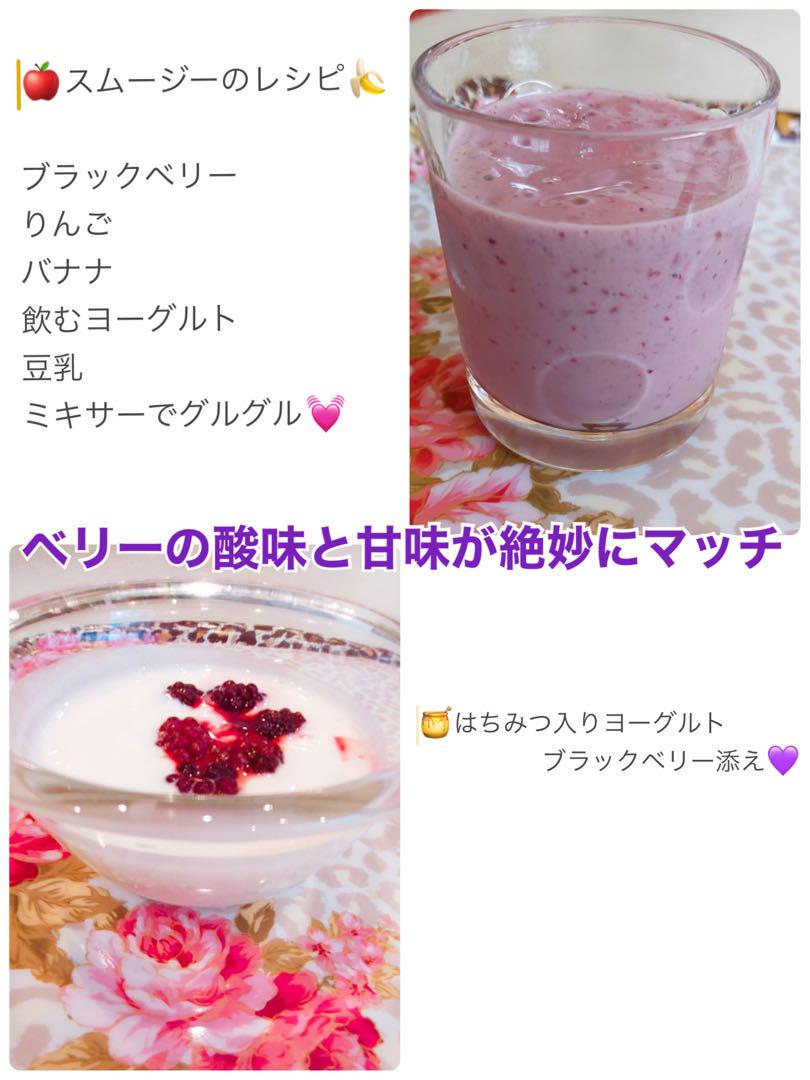 4.5キロ送料込] 冷凍ブラックベリー 北海道函館産（栽培期間中