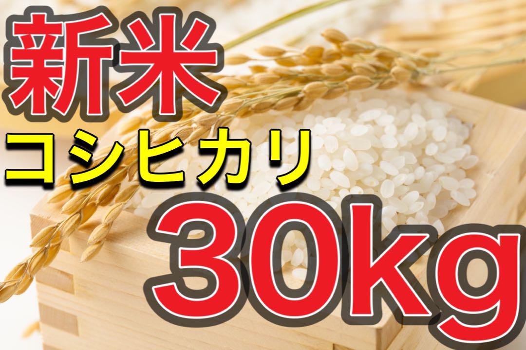 山口県産 米 コシヒカリ 30kg 精米済 送料無料