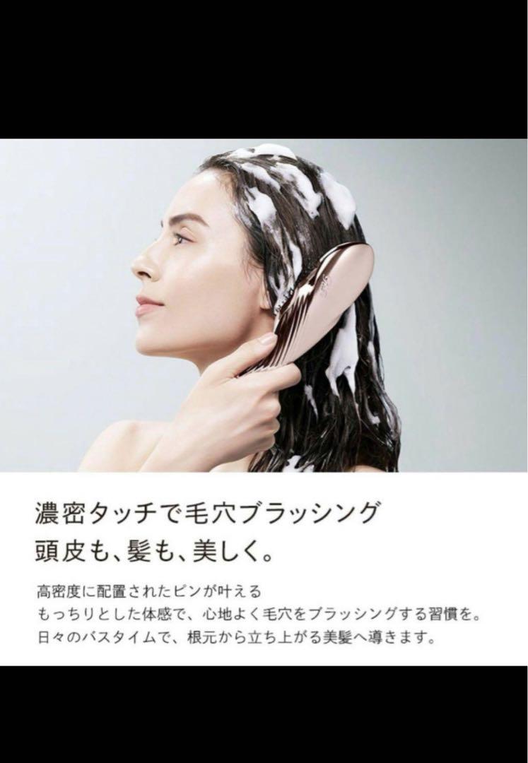 リファイオンケアブラシプレムアム