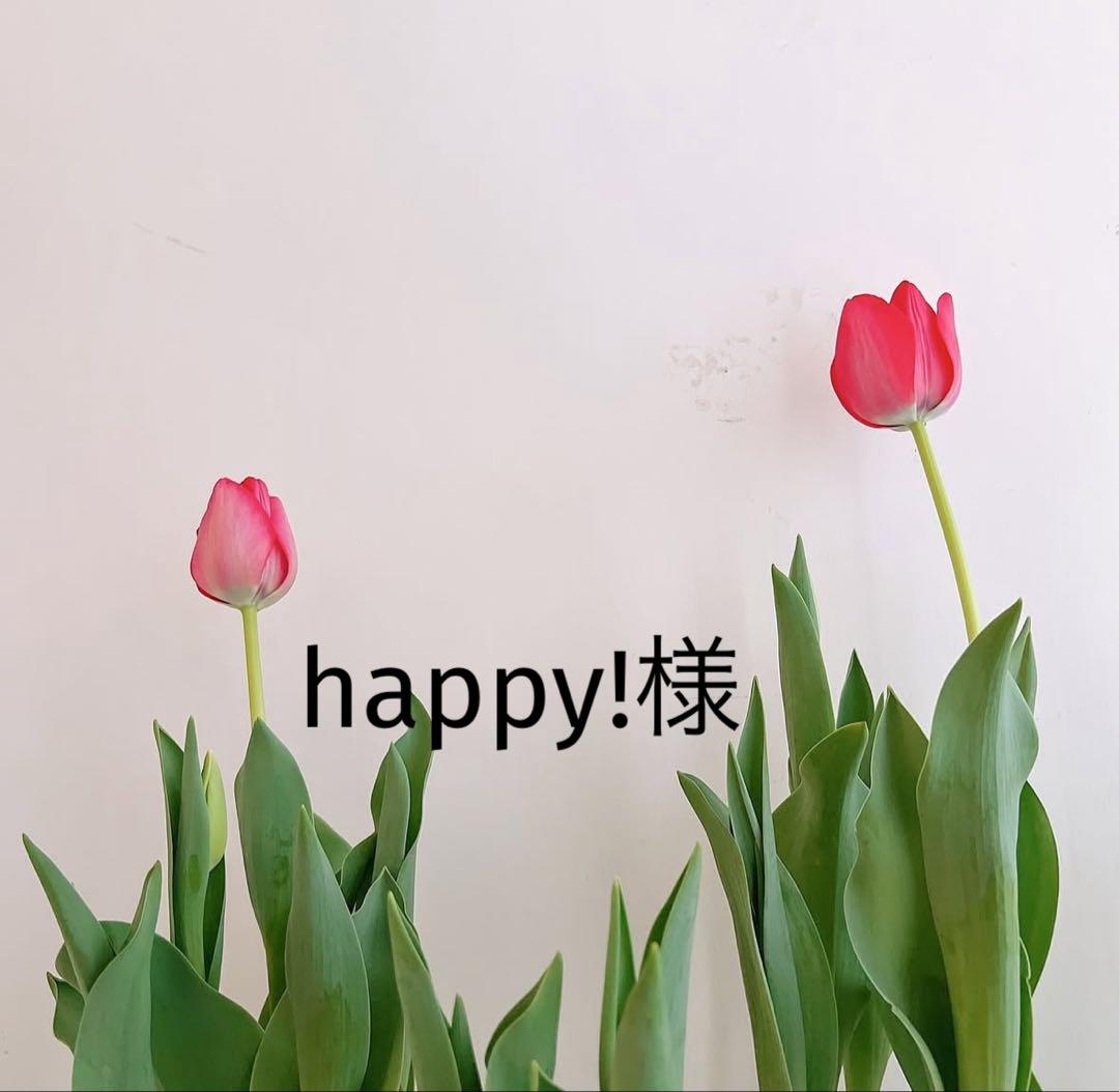 happy!品
