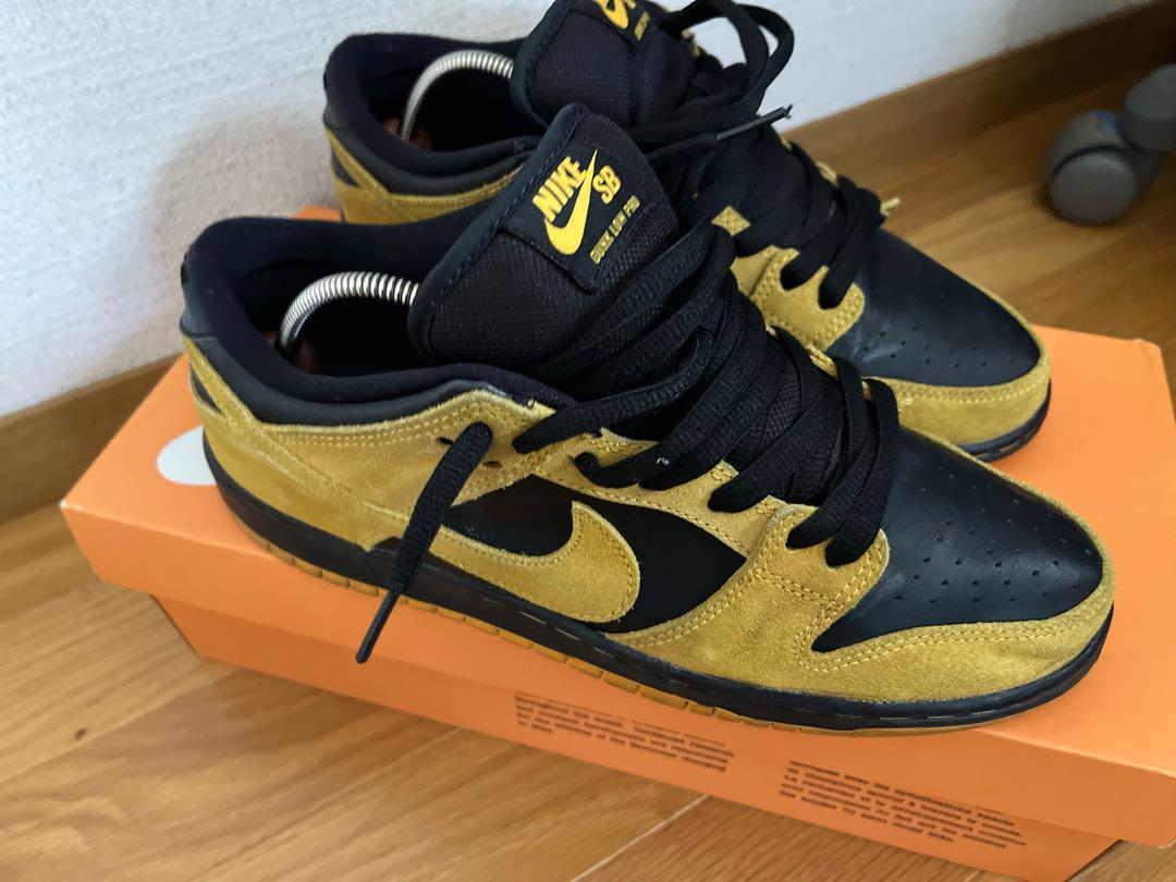 NIKE dunk sb アイオワ 26.5 画像3