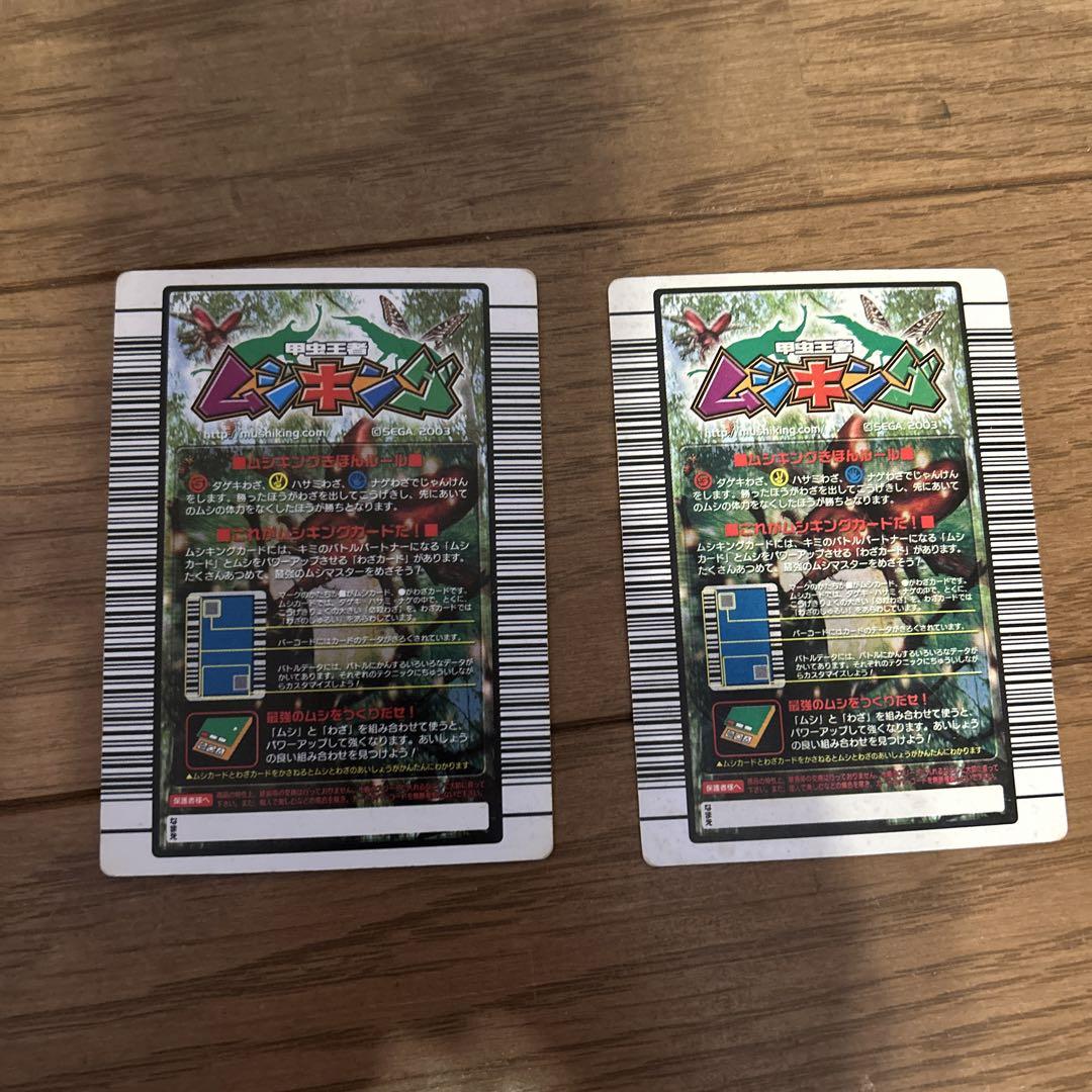 ネプチューンオオカブト&エレファスゾウカブトカードセット