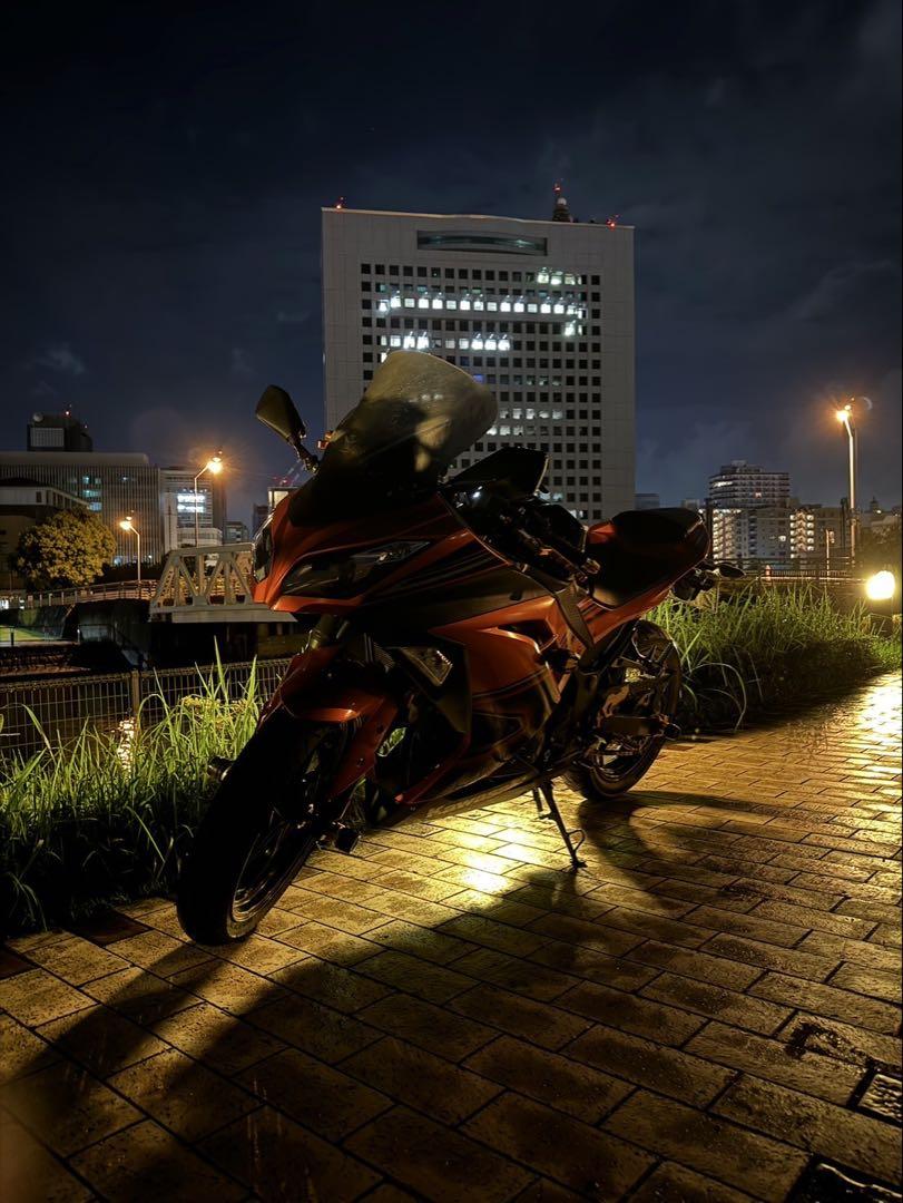 Ninja250スペシャルエディション 2014年式 JBK-EX250L