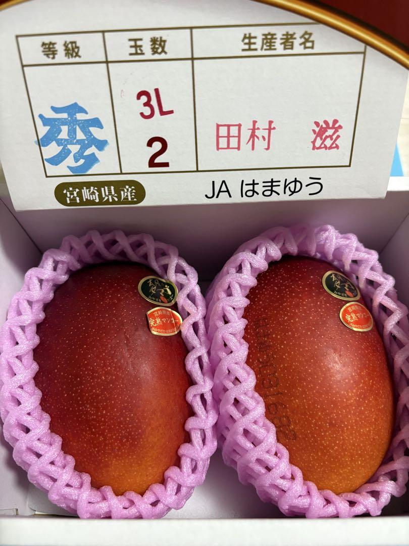 太陽のタマゴ　宮崎県産　マンゴー青秀　3Ｌ　2玉入り