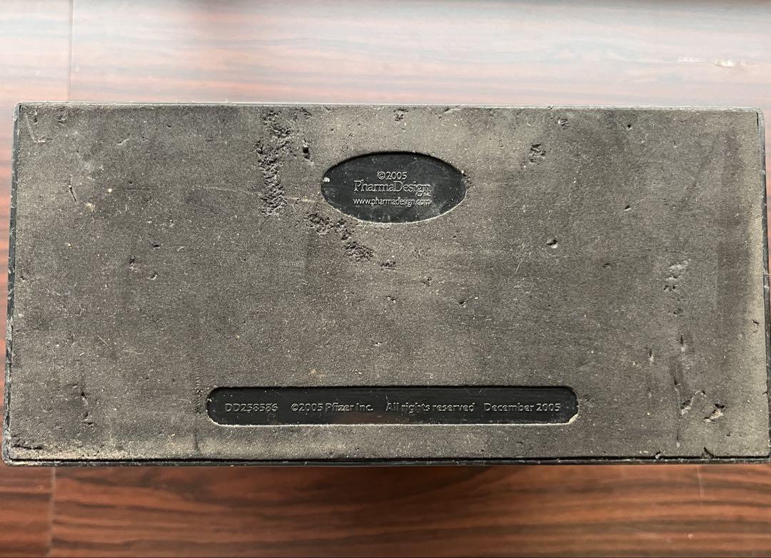 体内模型
