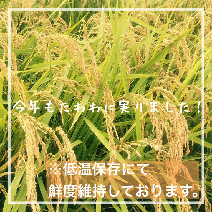 セール好評 農家直送 湧き水育ちのお米 兵庫県産ヒノヒカリ 30kg JC9sv-m99977950955 豊富な新作