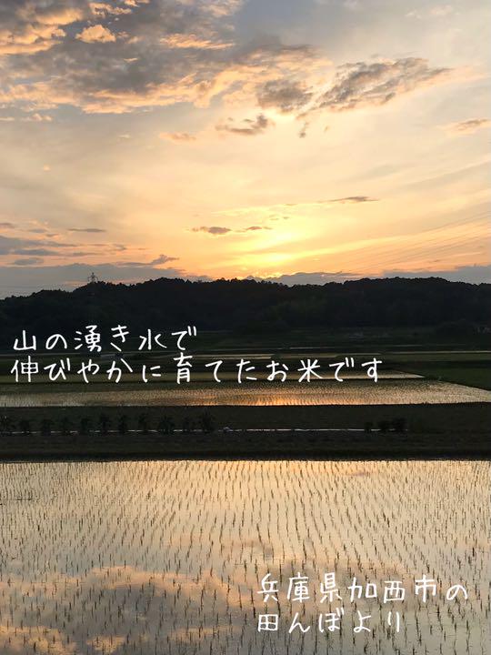 セール好評 農家直送 湧き水育ちのお米 兵庫県産ヒノヒカリ 30kg JC9sv-m99977950955 豊富な新作