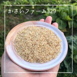 セール好評 農家直送 湧き水育ちのお米 兵庫県産ヒノヒカリ 30kg JC9sv-m99977950955 豊富な新作