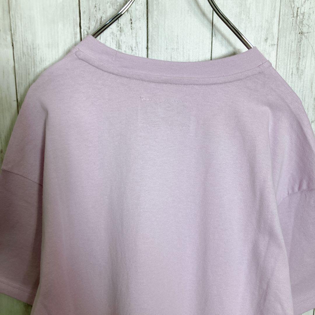 【極美品】ナイキ NIKE ラベンダーカラー Tシャツ #684