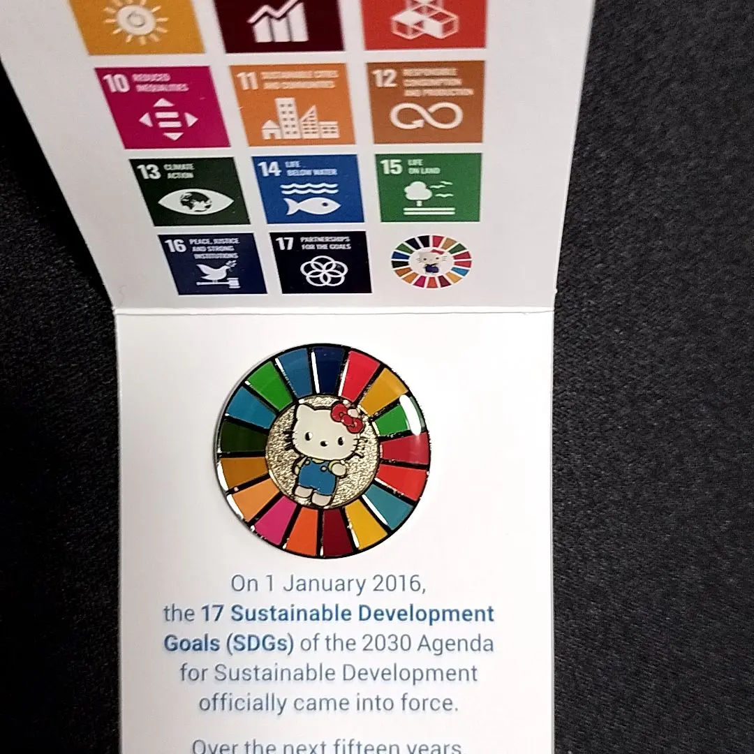 2025年最新】sdgs キティ バッジの人気アイテム - メルカリ