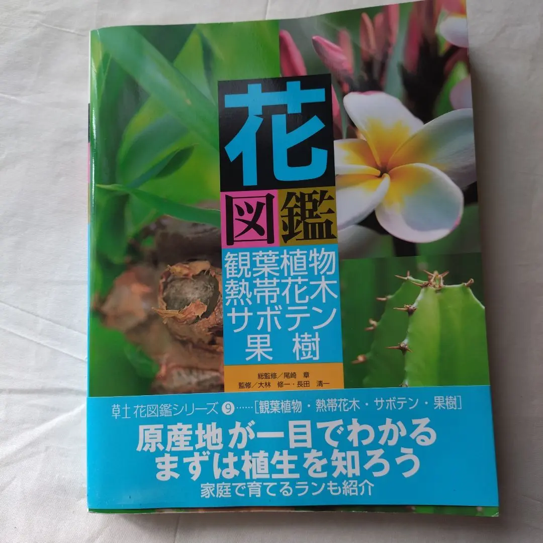 Yahoo!オークション - 熱帯花木と観葉植物図鑑/観葉植物として