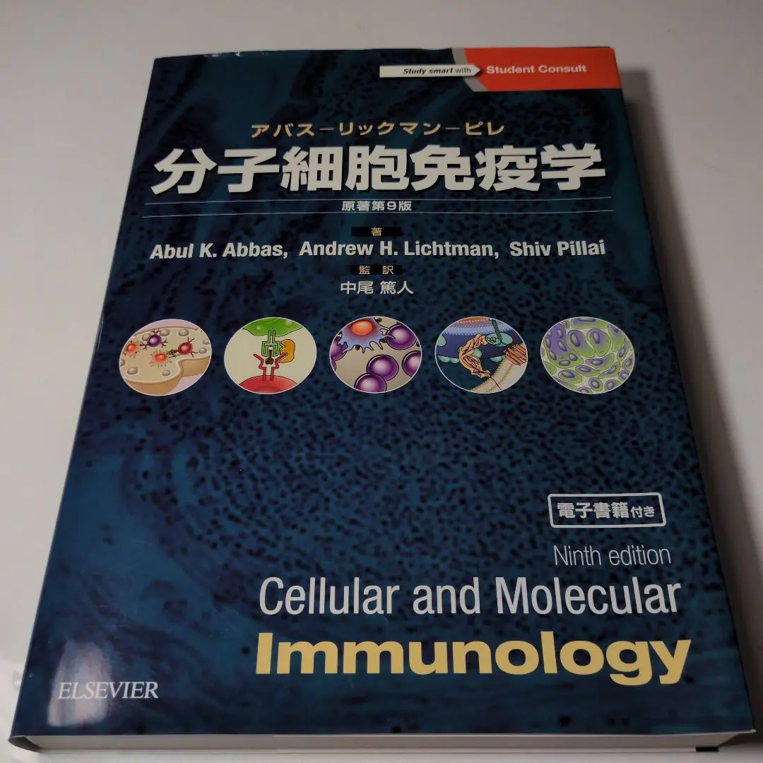 分子細胞免疫学　原著第9版 分子細胞免疫学 原著第9版 アバス–リックマン–ピレ | Abul K