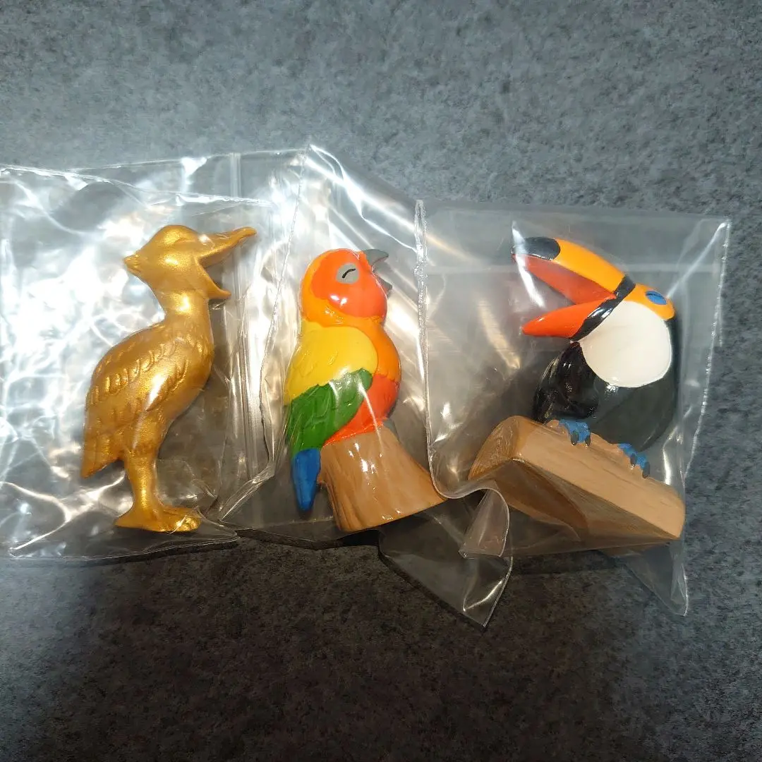 2025年最新】掛川花鳥園 コレクションの人気アイテム - メルカリ