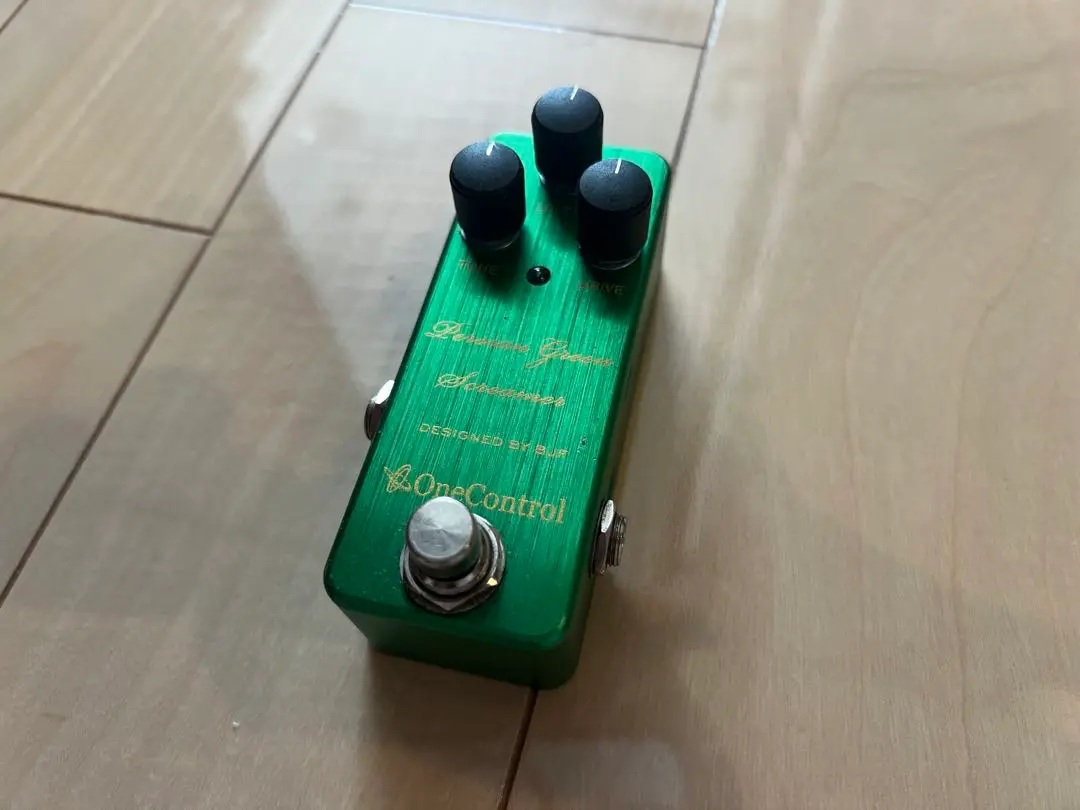 2025年最新】persian green screamerの人気アイテム - メルカリ