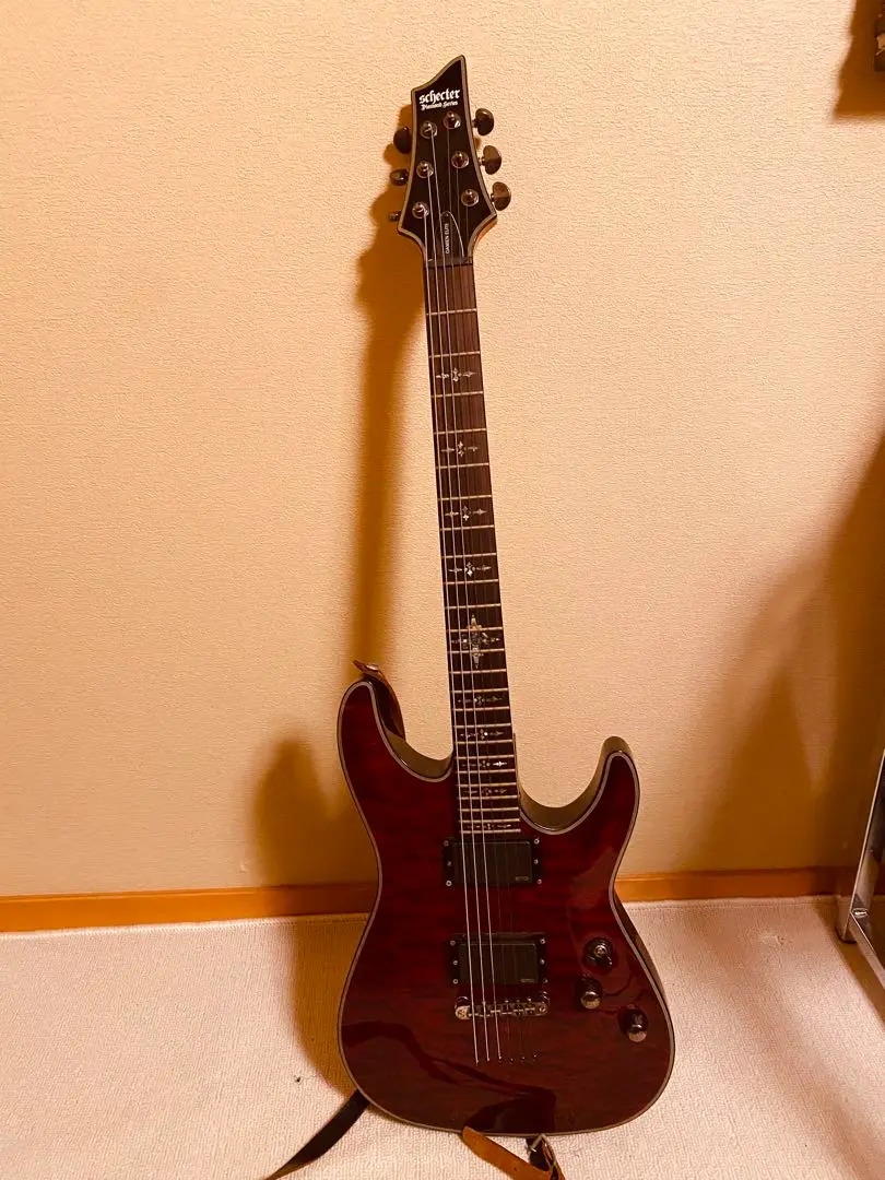2025年最新】schecter DAMIENの人気アイテム - メルカリ