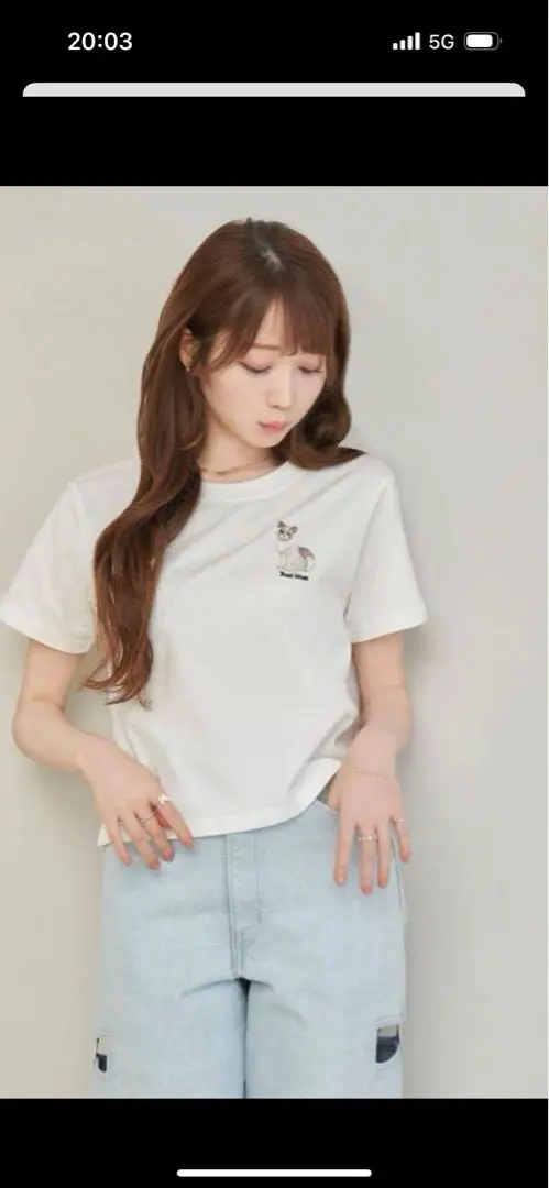新品同様 ロゼミューズEmbiss 【ロゴ刺繍あり】ライトグレー Tシャツ logo トップス